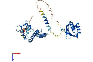 AlphaFold protein structure predicition of Mouse Recombinant Necab1 Protein, UniprotID Q8BG18