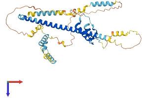 AlphaFold protein structure predicition of Mouse Recombinant Fez1 Protein, UniprotID Q8K0X8