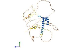 AlphaFold protein structure predicition of Mouse Recombinant Nkx2-1 Protein, UniprotID P50220
