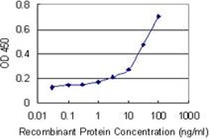 anti-Ubiquitin Protein Ligase E3 Component N-Recognin 1 (UBR1) (AA 2-100) antibody