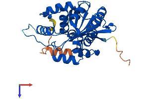 AlphaFold protein structure predicition of Human Recombinant CNOT7 Protein, UniprotID Q9UIV1