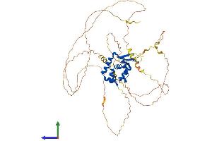 AlphaFold protein structure predicition of Mouse Recombinant Foxn4 Protein, UniprotID Q8K3Q3