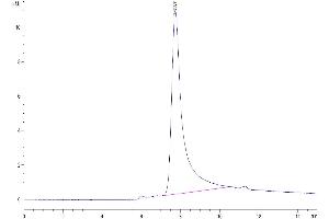 The purity of Human TNF alpha is greater than 95 % as determined by SEC-HPLC.