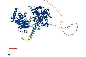 AlphaFold protein structure predicition of Human Recombinant RECQL Protein, UniprotID P46063