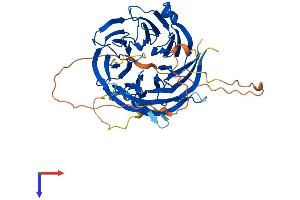 AlphaFold protein structure predicition of Human Recombinant DPH7 Protein, UniprotID Q9BTV6