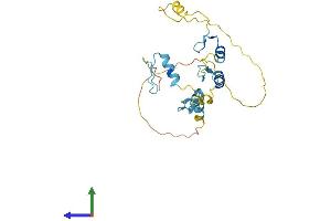 AlphaFold protein structure predicition of Mouse Recombinant Jazf1 Protein, UniprotID Q80ZQ5