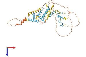 AlphaFold protein structure predicition of Human Recombinant ZSCAN1 Protein, UniprotID Q8NBB4