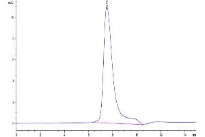 The purity of Biotinylated Human IL-17F is greater than 95 % as determined by SEC-HPLC.