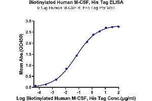 Immobilized Human M-CSF R, hFc Tag at 5 μg/mL (100 μL/well) on the plate.