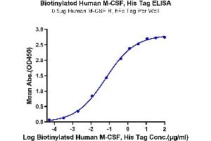 Immobilized Human M-CSF R, hFc Tag at 5 μg/mL (100 μL/well) on the plate. (M-CSF/CSF1 Protein (AA 33-190) (His-Avi Tag,Biotin))