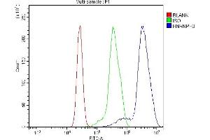 anti-Heterogeneous Nuclear Ribonucleoprotein H3 (2H9) (HNRNPH3) (AA 29-268) antibody