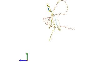AlphaFold protein structure predicition of Mouse Recombinant Gcsam Protein, UniprotID Q6RFH4