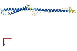 AlphaFold protein structure predicition of Human Recombinant MED22 Protein, UniprotID Q15528