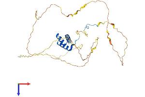 AlphaFold protein structure predicition of Mouse Recombinant Hoxa1 Protein, UniprotID P09022