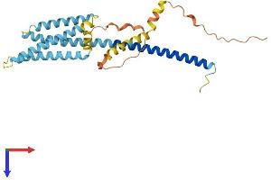 Hydrogen Voltage-Gated Channel 1 (HVCN1) (AA 1-273) protein (His tag)