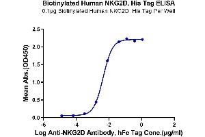 Immobilized Biotinylated Human NKG2D, His Tag at 1 μg/mL (100 μL/well) on the plate. (KLRK1 Protein (His-Avi Tag,Biotin))