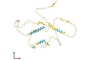 AlphaFold protein structure predicition of Human Recombinant KIAA1191 Protein, UniprotID Q96A73