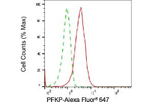 Flow cytometric analysis of PFKP expression in HepG2 cells using PFKP antibody (ABIN7799803), 1:2,000). (PFKP anticorps)