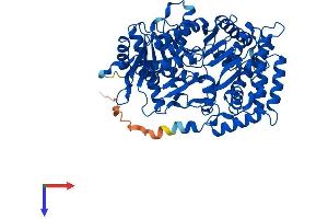 AlphaFold protein structure predicition of Human Recombinant CRAT Protein, UniprotID P43155