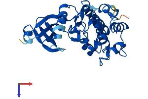 AlphaFold protein structure predicition of Human Recombinant TSSK6 Protein, UniprotID Q9BXA6
