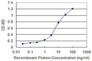 Detection limit for recombinant GST tagged GOT2 is 0.