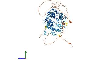 AlphaFold protein structure predicition of Human Recombinant ZNF169 Protein, UniprotID Q14929