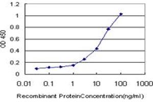 Detection limit for recombinant GST tagged HOXC12 is approximately 0.