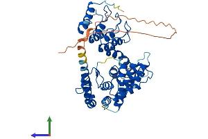 AlphaFold protein structure predicition of Human Recombinant ANKMY2 Protein, UniprotID Q8IV38