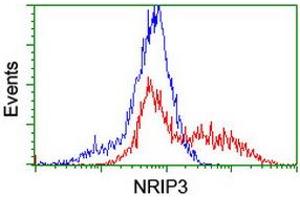 HEK293T cells transfected with either RC202937 overexpress plasmid (Red) or empty vector control plasmid (Blue) were immunostained by anti-NRIP3 antibody (ABIN2455893), and then analyzed by flow cytometry. (NRIP3 anticorps)