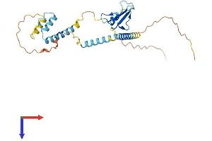 AlphaFold protein structure predicition of Mouse Recombinant Cd74 Protein, UniprotID P04441