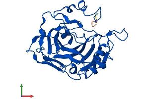 AlphaFold protein structure predicition of Human Recombinant CA7 Protein, UniprotID P43166