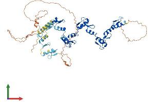 AlphaFold protein structure predicition of Human Recombinant ZNF548 Protein, UniprotID Q8NEK5