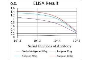 Black line: Control Antigen (100 ng), Purple line: Antigen(10 ng), Blue line: Antigen (50 ng), Red line: Antigen (100 ng), (FSHB anticorps  (AA 19-129))