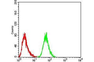 Flow cytometric analysis of HepG2 cells using RF1 mouse mAb (green) and negative control (red).