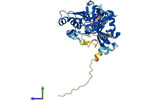 AlphaFold protein structure predicition of Human Recombinant AS3MT Protein, UniprotID Q9HBK9