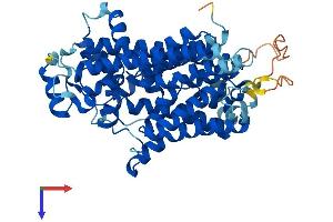 AlphaFold protein structure predicition of Mouse Recombinant Pigv Protein, UniprotID Q7TPN3
