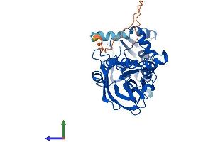 AlphaFold protein structure predicition of Mouse Recombinant Prmt6 Protein, UniprotID Q6NZB1