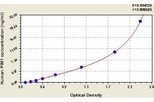 Typical Standard Curve (PIM1 Kit ELISA)