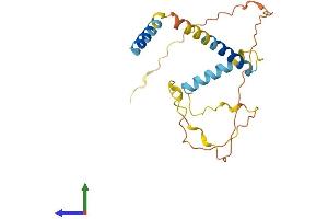 AlphaFold protein structure predicition of Human Recombinant BCL2L11 Protein, UniprotID O43521