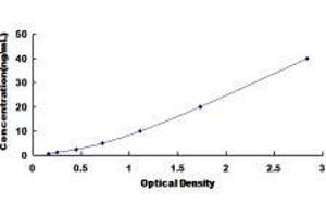 rho GDP Dissociation Inhibitor (GDI) beta (ARHGDIB) ELISA Kit