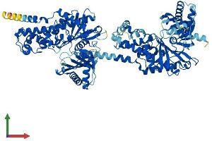 AlphaFold protein structure predicition of Mouse Recombinant Hk2 Protein, UniprotID O08528