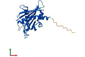 AlphaFold protein structure predicition of Human Recombinant STARD6 Protein, UniprotID P59095