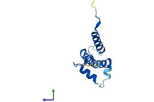 AlphaFold protein structure predicition of Human Recombinant S100A11 Protein, UniprotID P31949