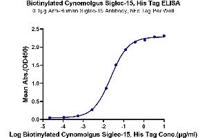 Immobilized Anti-Human Siglec-15 Antibody, hFc Tag at 1 μg/mL (100 μL/well) on the plate.