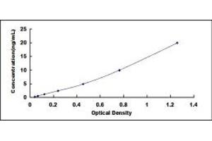 Typical standard curve (NPR1 Kit ELISA)