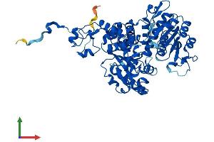 AlphaFold protein structure predicition of Human Recombinant ME1 Protein, UniprotID P48163