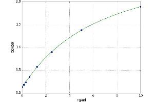 Prostaglandin E Synthase (PTGES) ELISA Kit
