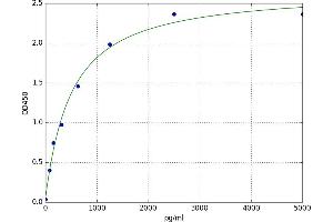 Monoamine Oxidase B (MAOB) ELISA Kit