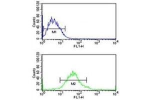 G6PD antibody flow cytometric analysis of MCF-7 cells (green) compared to a negative control (blue).