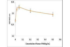 Activity Assay (AcA) image for Interferon, alpha 4 (IFNa4) (Active) protein (ABIN5509778)